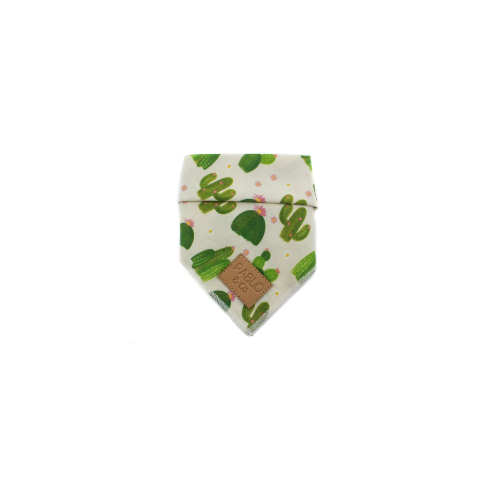 CACTUS - BANDANA