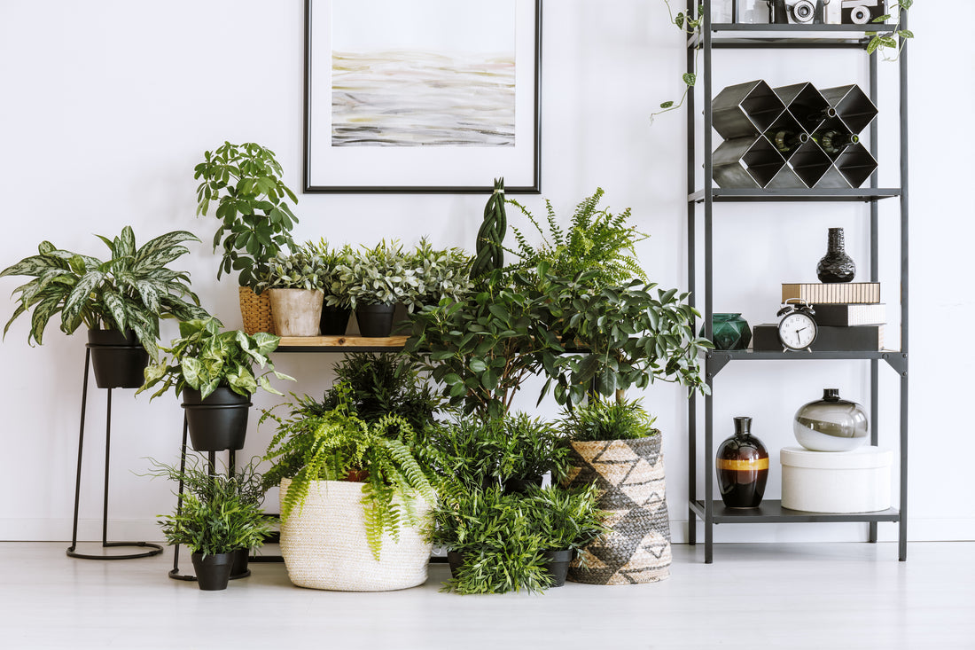 DIY Borneo Basket Light Shade Hack