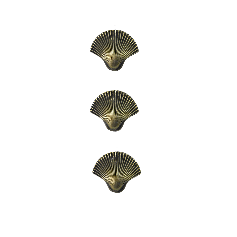 Brass Sea Shell Drawer Pull Small