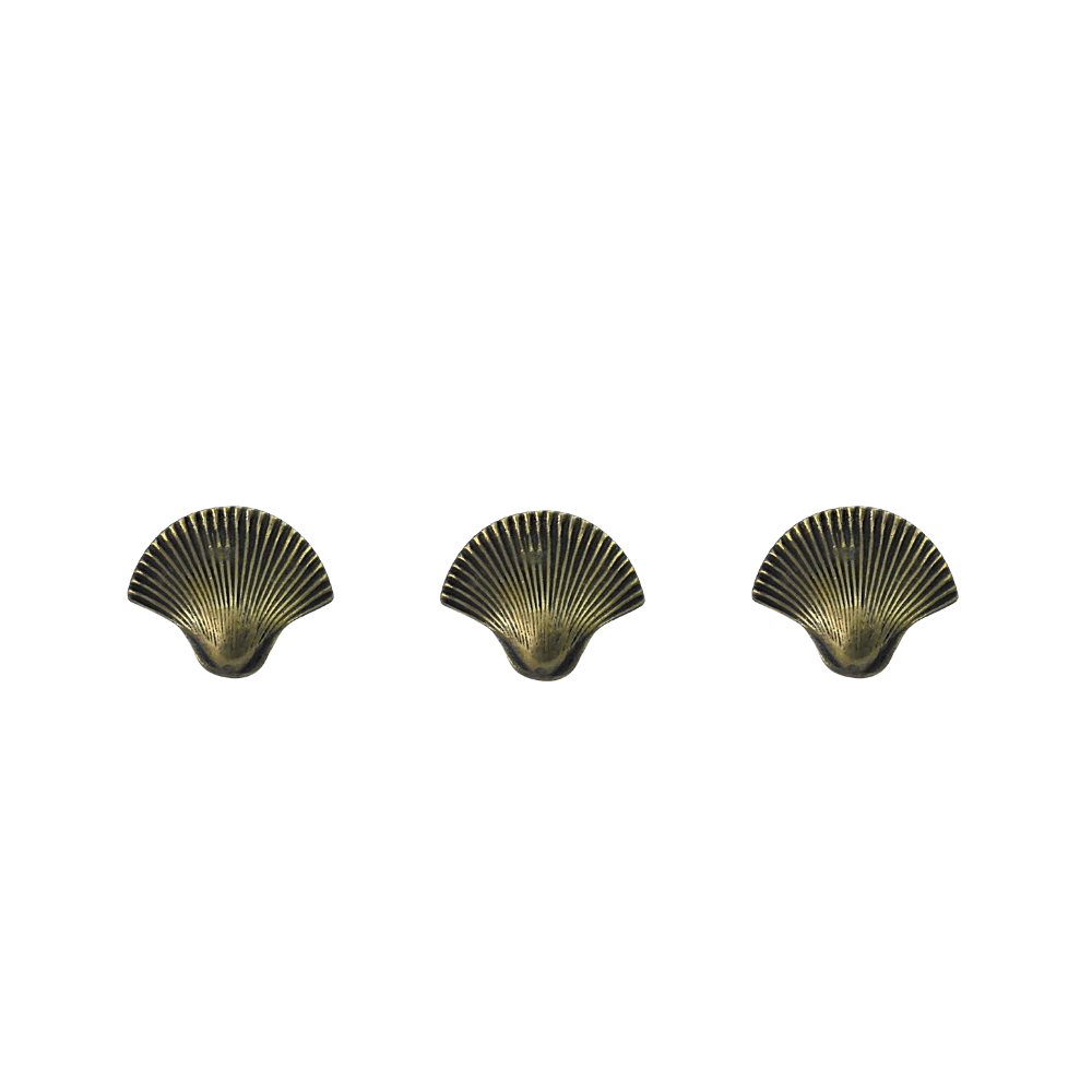 Brass Sea Shell Drawer Pull Small