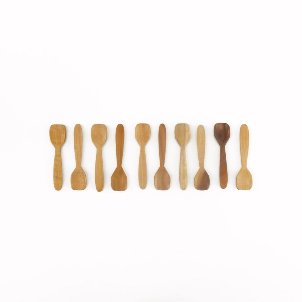 Spice Spoon Set of 10