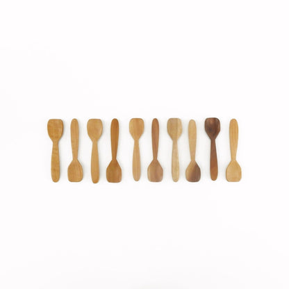 Spice Spoon Set of 10