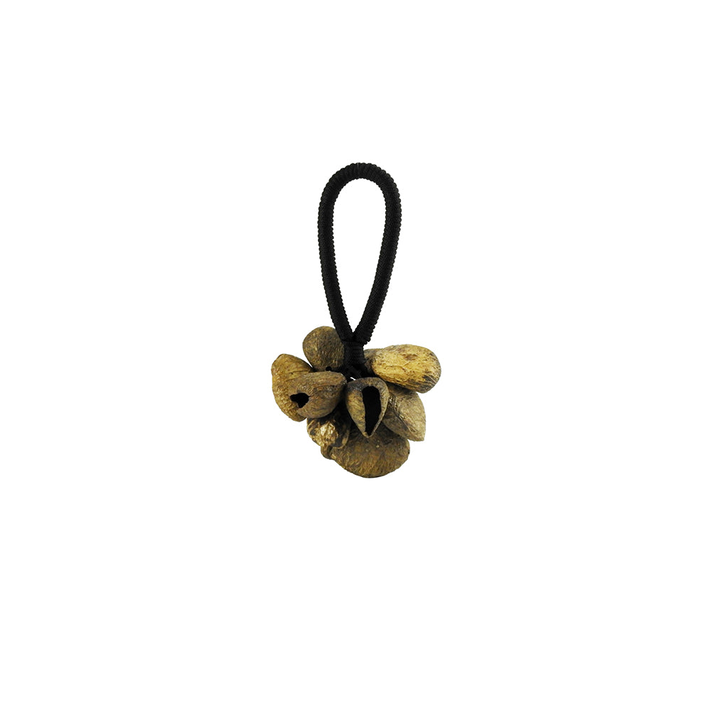 Natural Pangi Shell Seed Pod Shaker